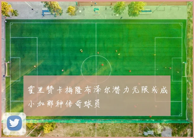 霍里赞卡梅隆布泽尔潜力无限或成小加那种传奇球员